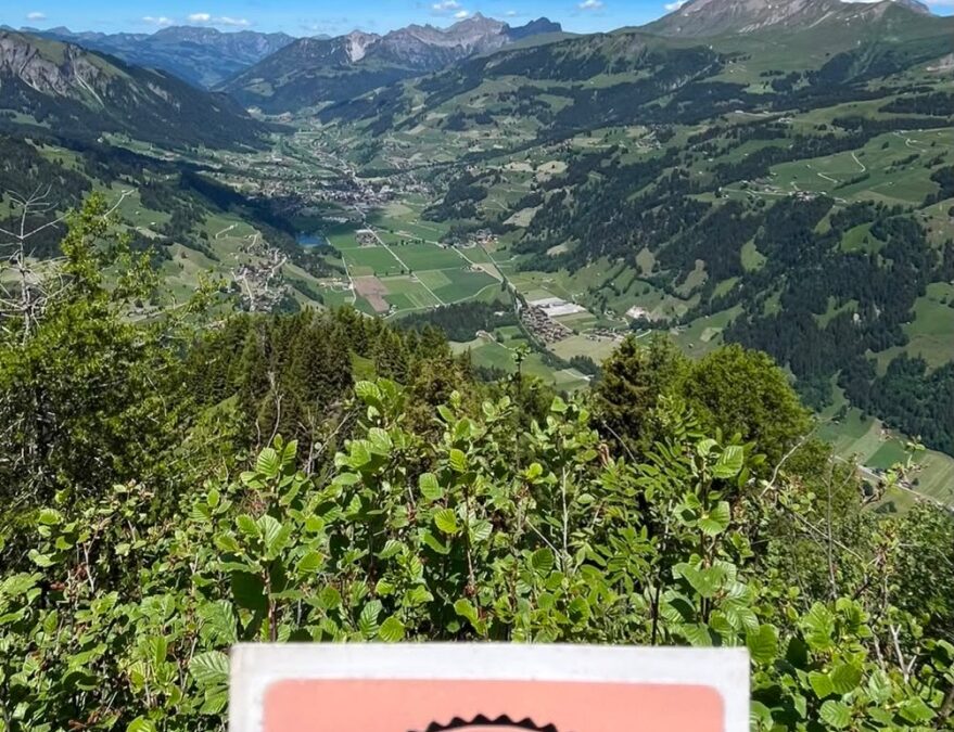 Obersimmentaler Bierwanderung